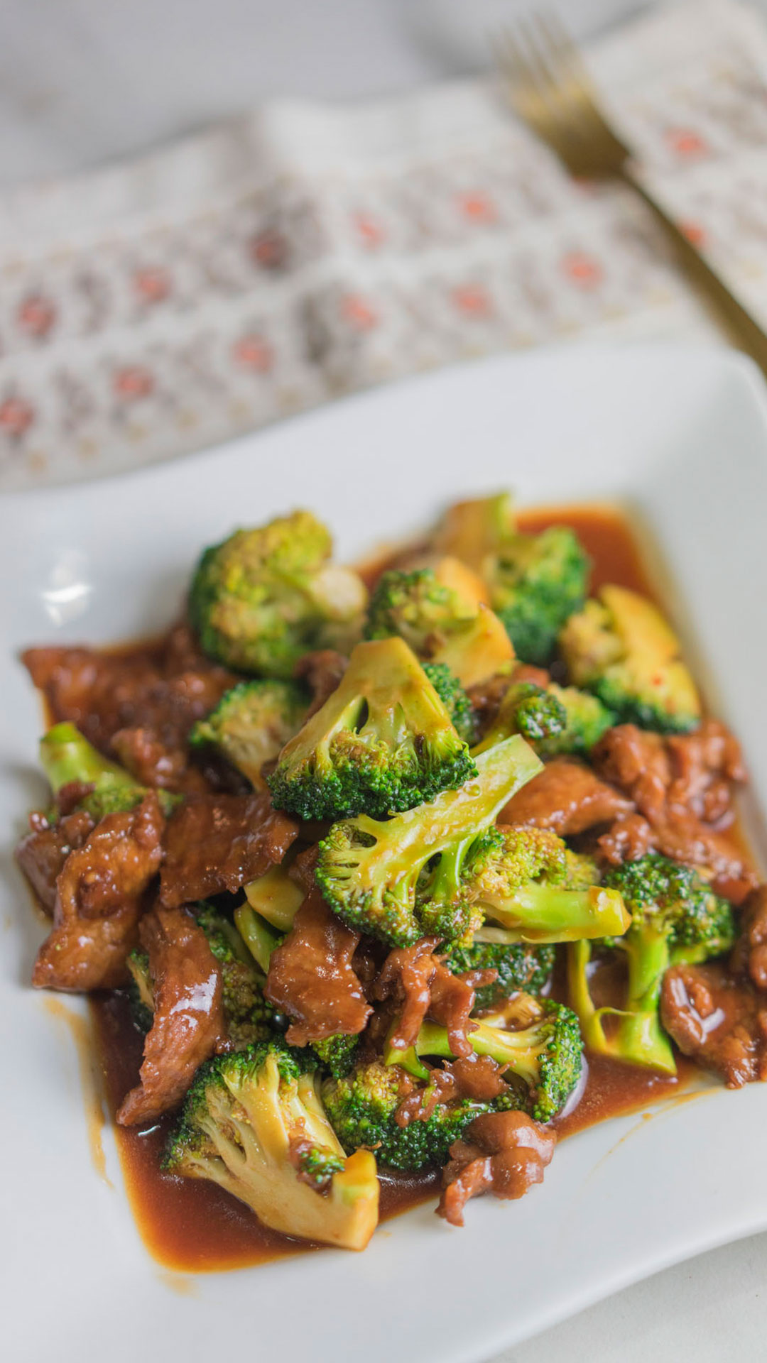 Beef & Broccoli Reg.