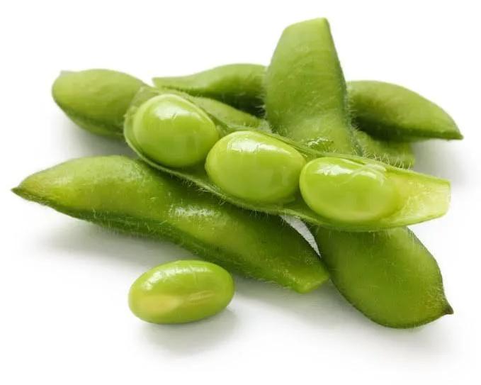 Green Soybean