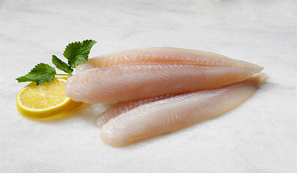 Fish Fillet / 龙利鱼片