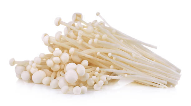 Enoki Mushroom / 金针菇