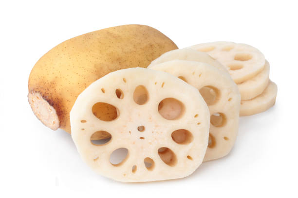 Lotus Root / 莲藕