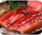 Unagi Don