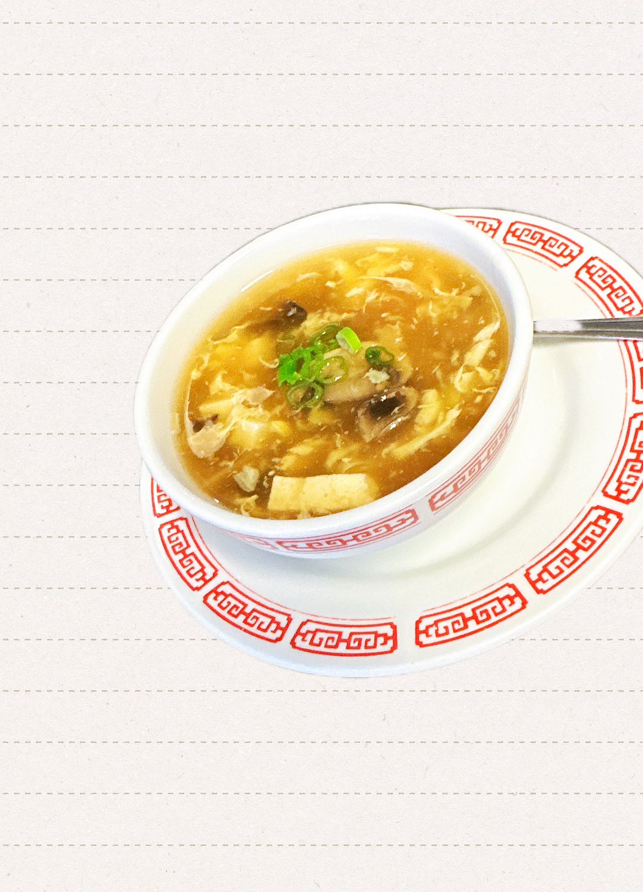 Hot Sour Soup (SCC)