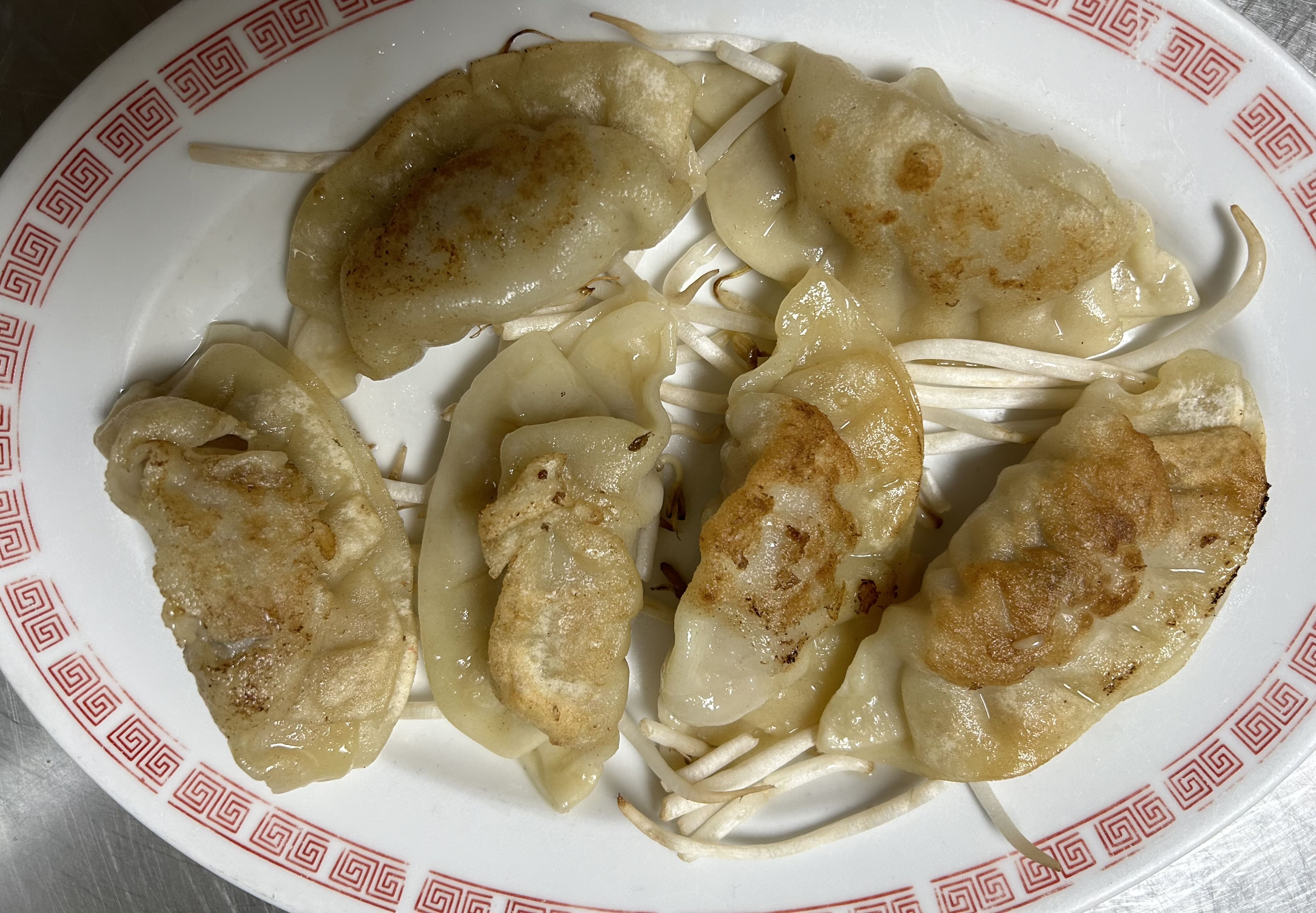 Fried Dumplings (6)