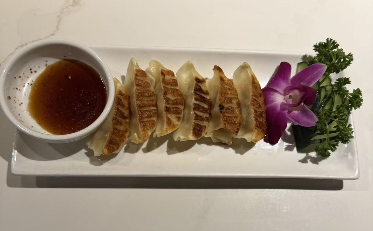 Gyoza