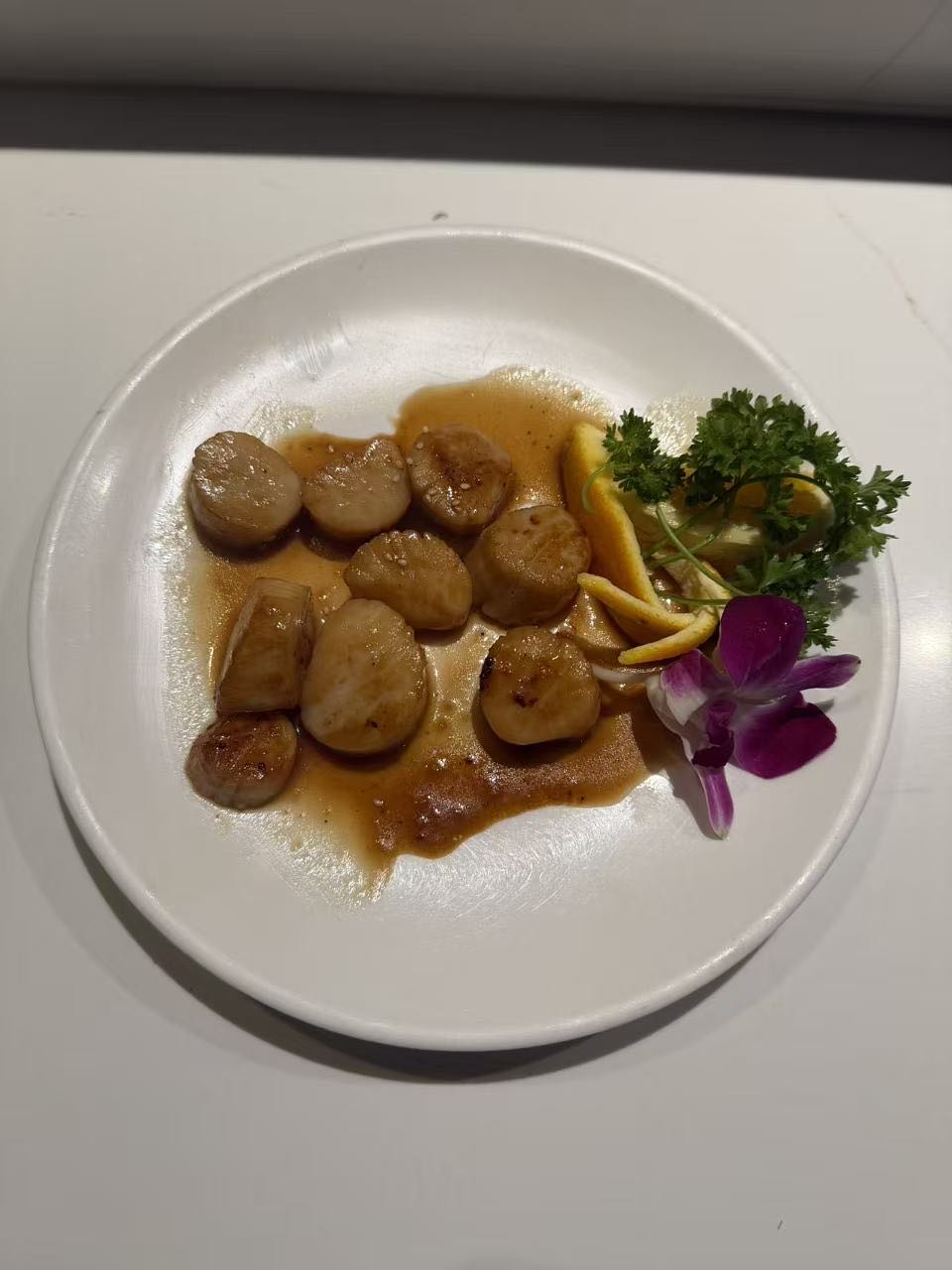 Scallop