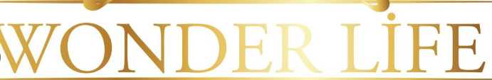 Wonder Life logo